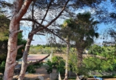 Xalet independent amb terreny en venda a la España, Torrevella, ref.: TR159021 foto