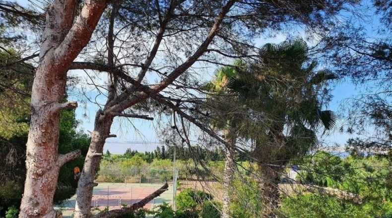 Alicante - Torrevieja - 5000m2