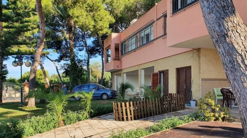 Alicante - Torrevieja - 5000m2
