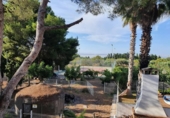 Xalet independent amb terreny en venda a la España, Torrevella, ref.: TR159021 foto