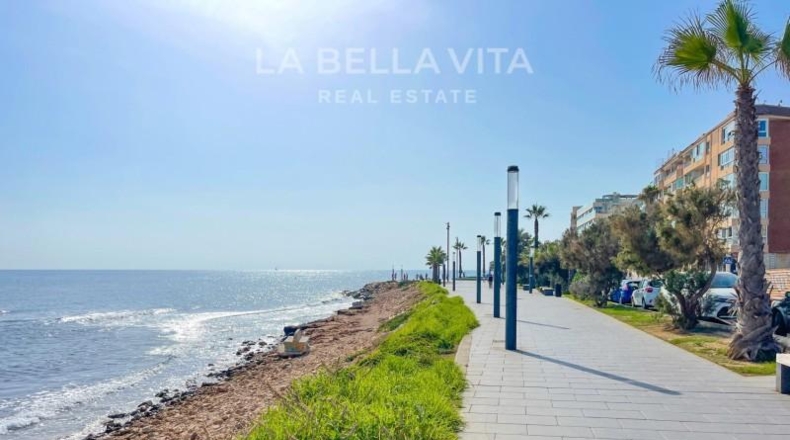 Alicante - Torrevieja - 400m2