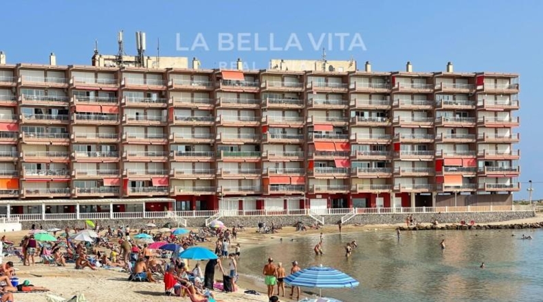 Alicante - Torrevieja - 400m2