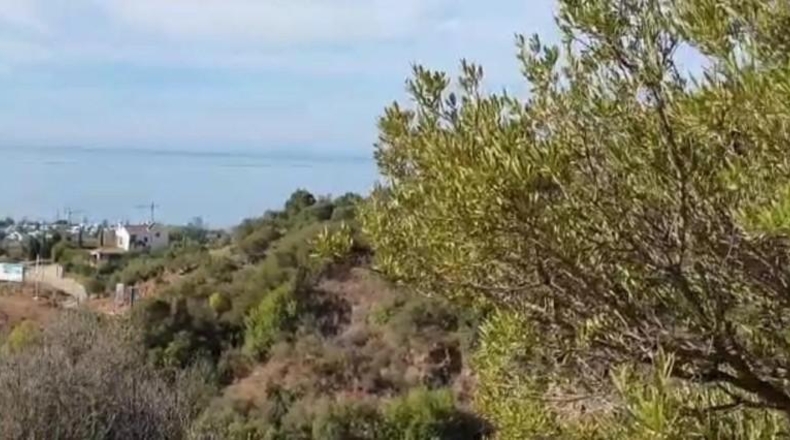 Málaga - Marbella - 1509m2