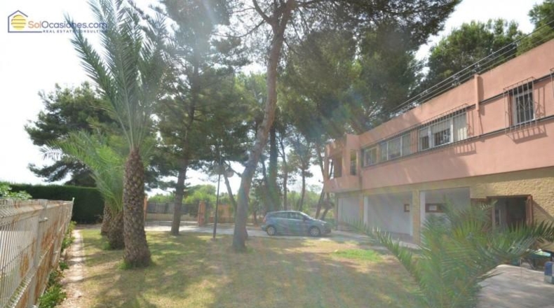 Alicante - Torrevieja - 5000m2