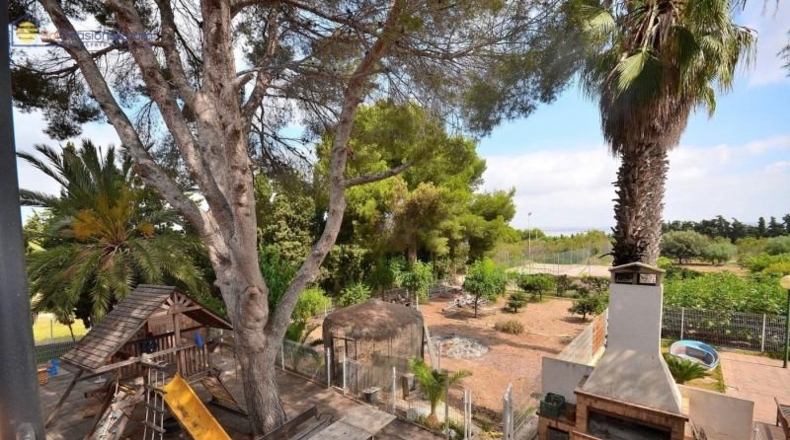 Alicante - Torrevieja - 5000m2