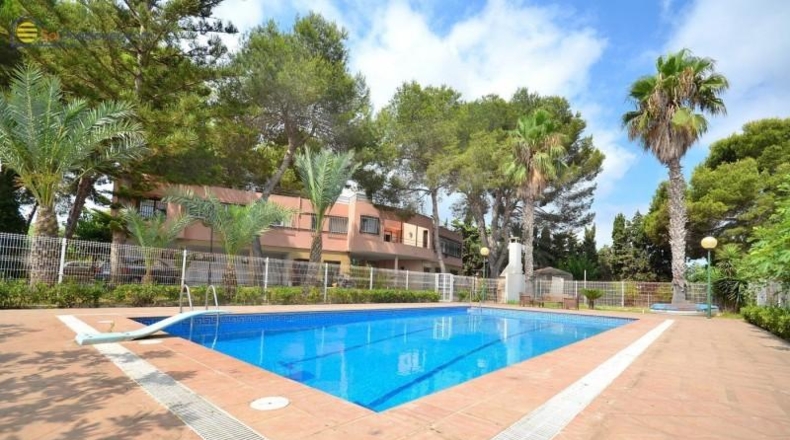 Alicante - Torrevieja - 5000m2