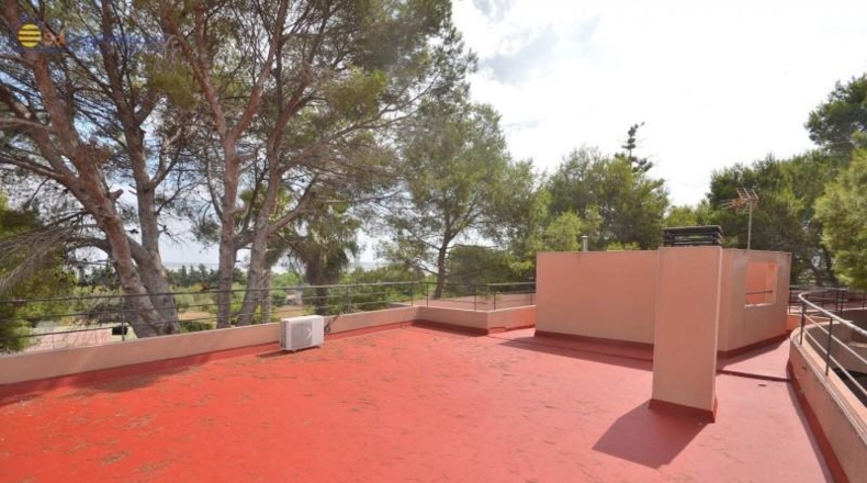 Alicante - Torrevieja - 5000m2