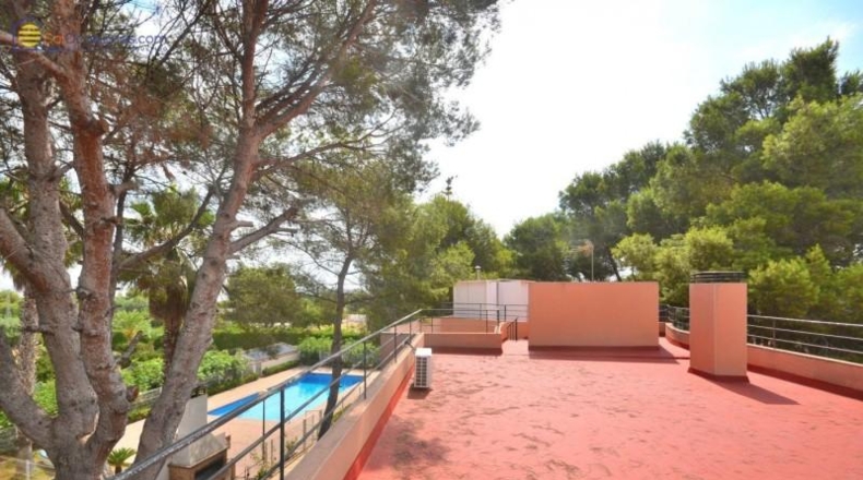 Alicante - Torrevieja - 5000m2