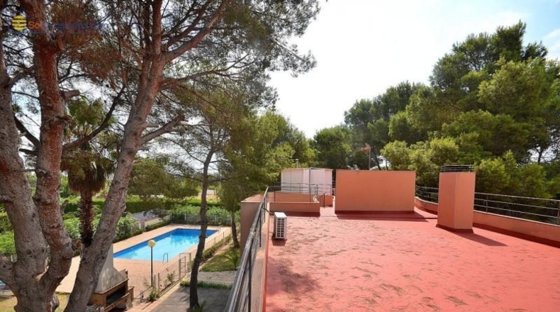 Alicante - Torrevieja - 5000m2