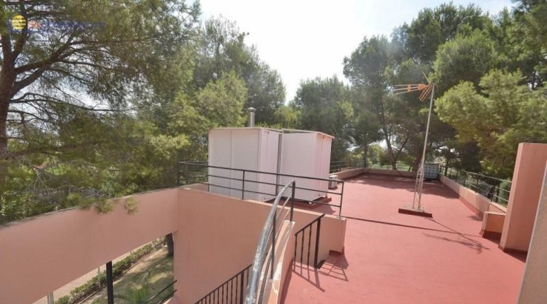Alicante - Torrevieja - 5000m2
