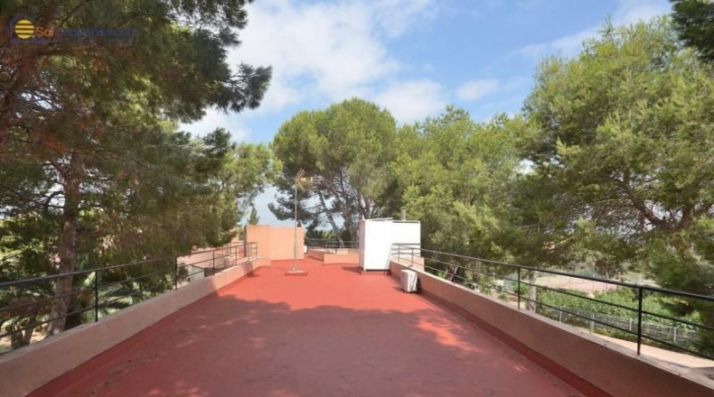 Alicante - Torrevieja - 5000m2