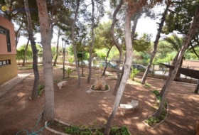 Foto 15