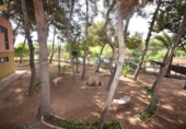 Xalet independent amb terreny en venda a la España, Torrevella, ref.: TR334682 foto