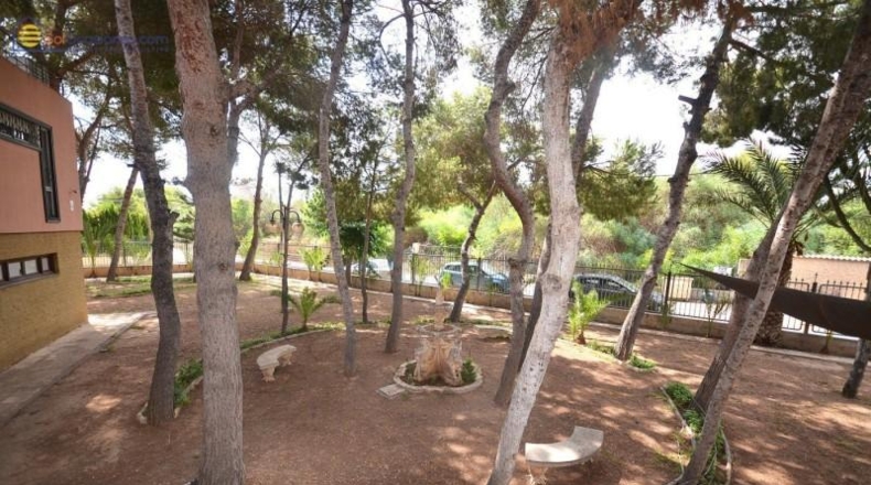 Alicante - Torrevieja - 5000m2