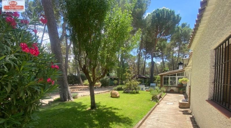 Albacete - Albacete - 420m2