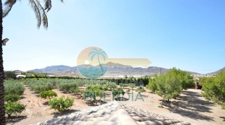 Murcia - Mazarrón - 10496m2