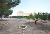 Casa de camp amb terreny en venda a la España, Lorca, ref.: TR235705 foto