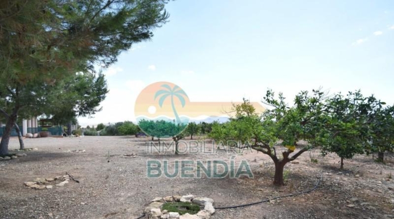 Murcia - Mazarrón - 10496m2
