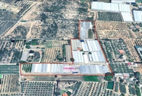 Riudoms 23640&nbsp;м²