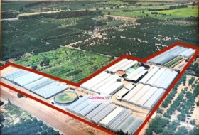 Riudoms 23640&nbsp;м²
