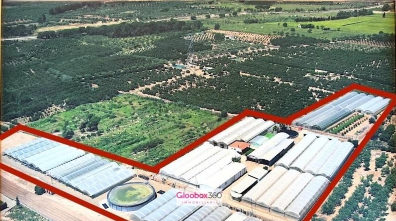 Tarragona - Riudoms - 23640m2