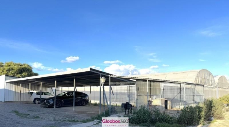 Tarragona - Riudoms - 23640m2