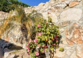 Casa de poble en venda a la España, Lloret de Mar, ref.: TR381924 foto