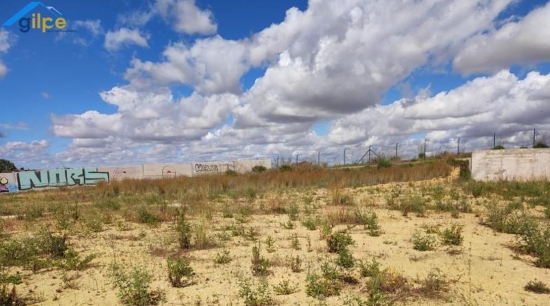 Seville - Alcalá de Guadaíra - 4956m2