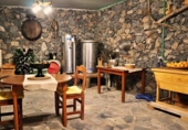 Casa de camp amb terreny en venda a la España, Granadilla de Abona, ref.: TR141461 foto