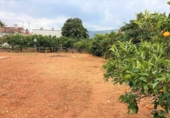Chalet independiente con terreno en venta en la España, Pedreguer, ref: TR143050 foto