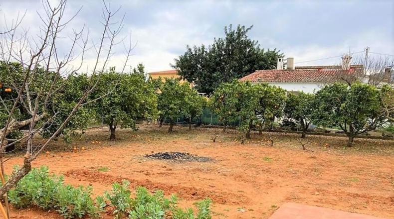 Alicante - Pedreguer - 2100m2