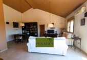 Detached villa with land for sale on España, Ontinyent, ref: TR246057 photo