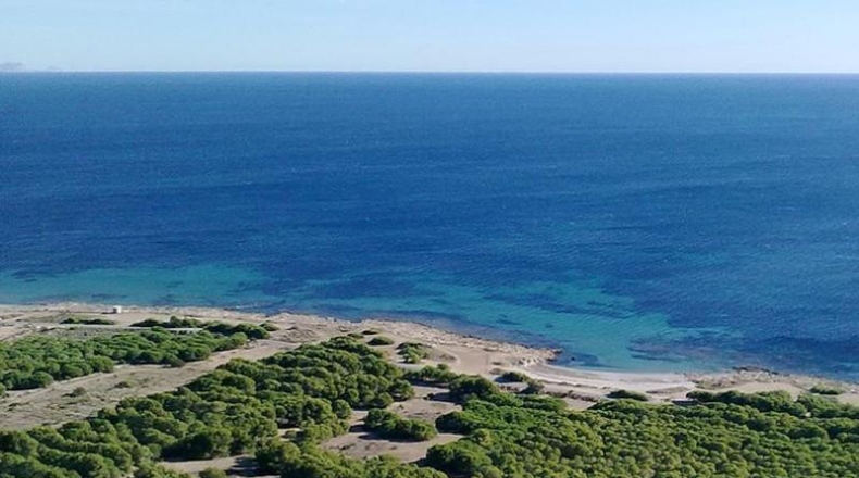 Alicante - Santa Pola - 400m2