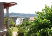 Finca rústica en venta en la España, Pazos de Borbén, ref: TR283526 foto