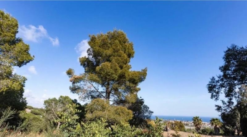 Barcelona - Cabrils - 1846m2
