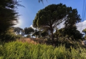 Parcel·la urbanitzable en venda a la España, Cabrils, ref.: TR287907 foto