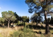 Parcel·la urbanitzable en venda a la España, Cabrils, ref.: TR287907 foto