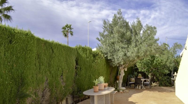 Alicante - Denia - 623m2