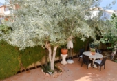 Xalet independent amb terreny en venda a la España, Dénia, ref.: TR241289 foto
