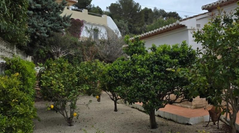 Alicante - Moraira - 991m2