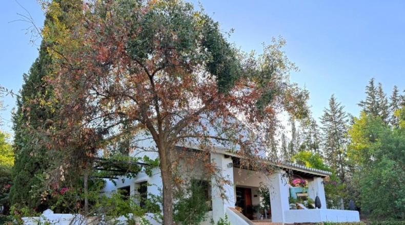 Málaga - Álora - 4120m2
