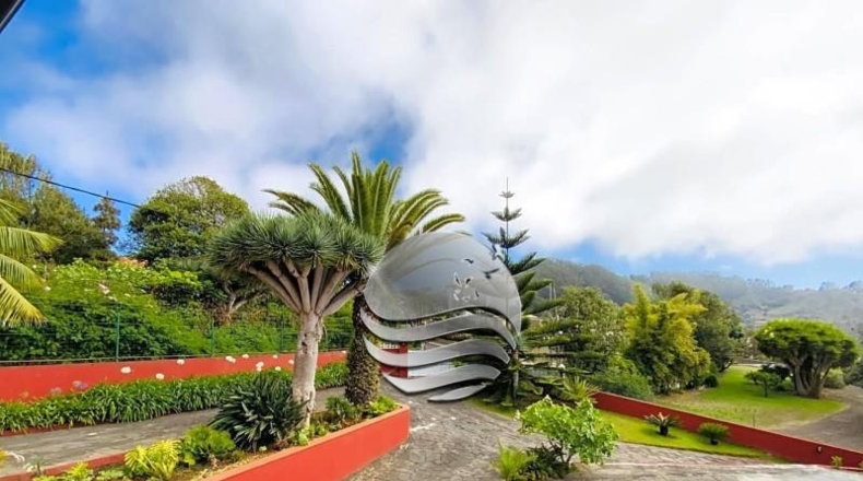 Santa Cruz de Tenerife - Tegueste - 1600m2