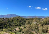 Land suitable for development for sale on España, Estepona, ref: TR306175 photo