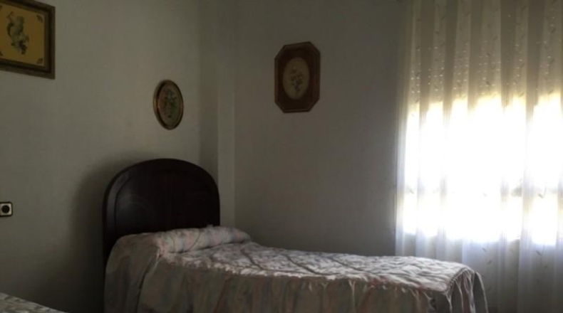 Murcia - Murcia - 1650m2