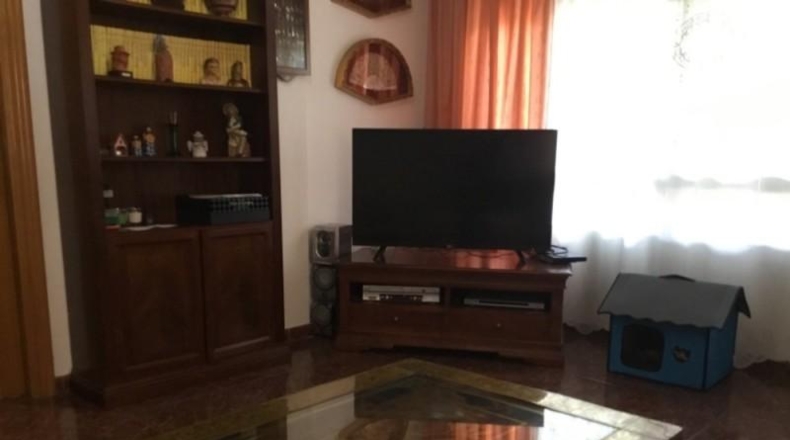 Murcia - Murcia - 1650m2