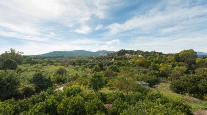 Málaga - Coín - 7000m2