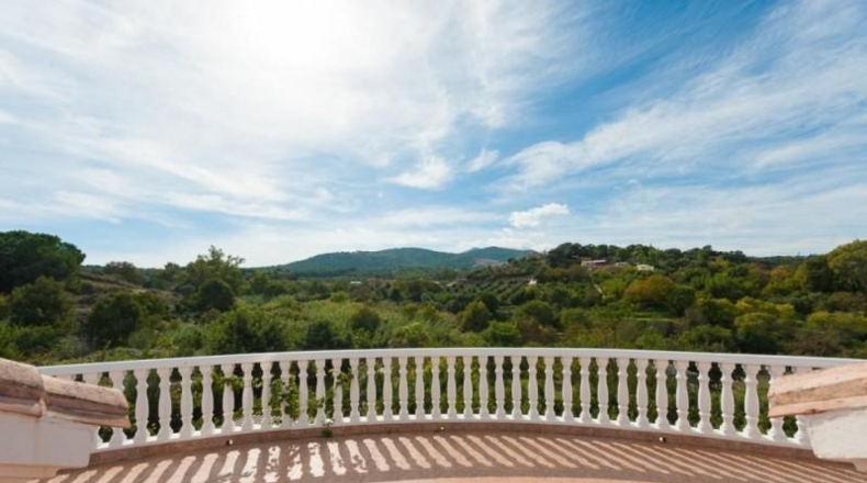 Málaga - Coín - 7000m2