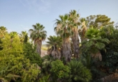 Casa de camp amb terreny en venda a la España, Jaén, ref.: TR319037 foto