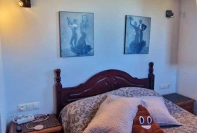 Foto 15