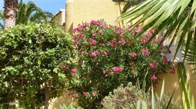 Alicante - Benitachell - 849m2